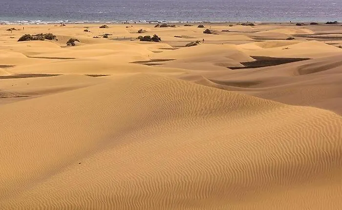 Renovated 2 Bedroom In Tatil Evi *